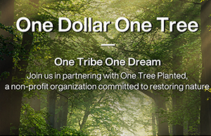 补登：关注情形；，践行低碳理念