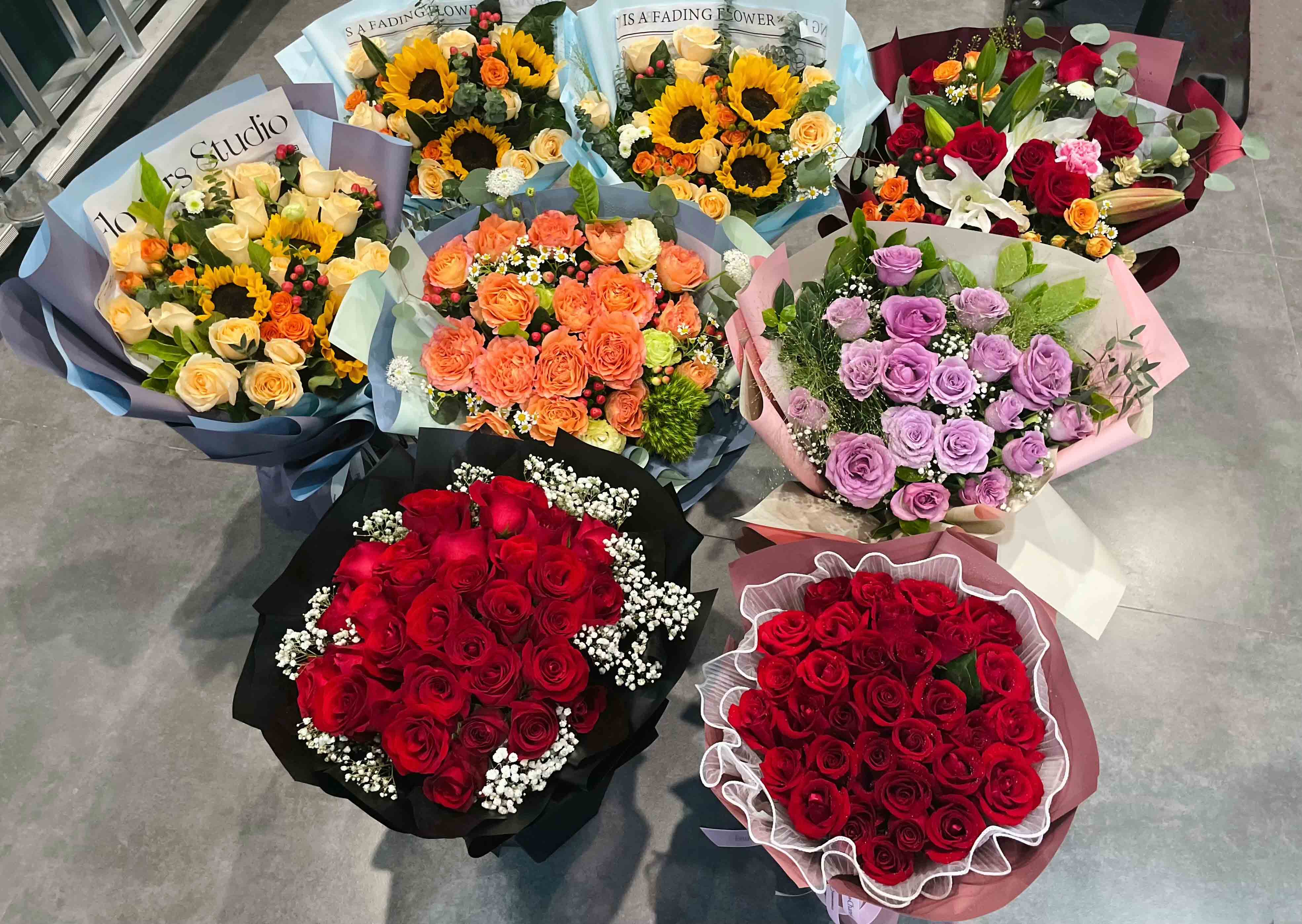 门徒娱乐(中国)官网登录入口