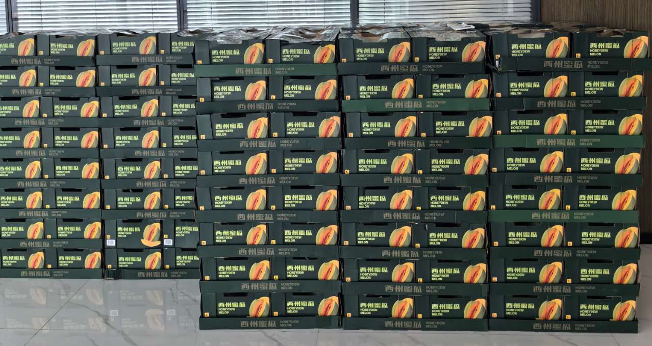 门徒娱乐(中国)官网登录入口